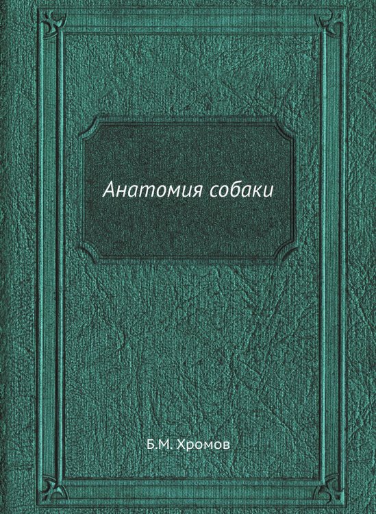 Анатомия собаки