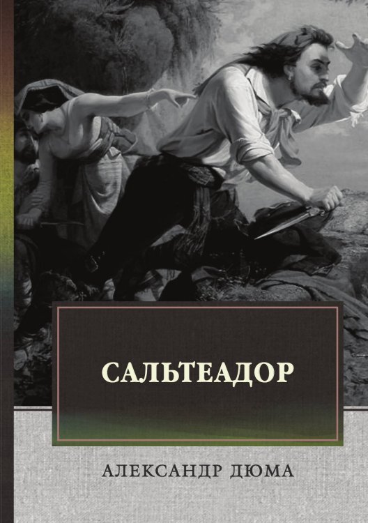 Обложка книги «Сальтеадор» — А. Дюма, ISBN 9785521744701