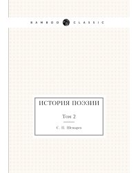 История поэзии