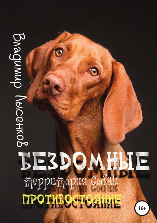 Обложка книги «Бездомные. Территория собак. Противостояние» — Владимир Лысенков, ISBN 9785532969575