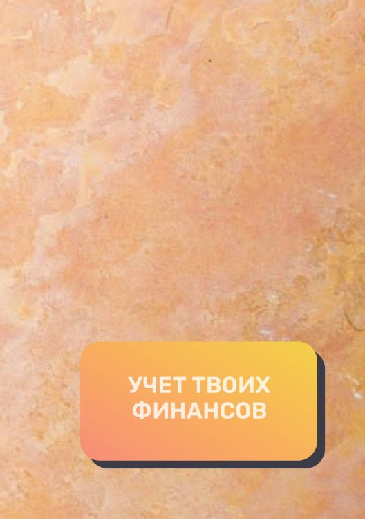 Обложка книги «Учет твоих финансов» — автора нет, ISBN 9785521892440