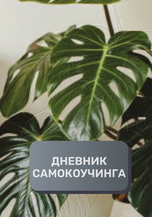 Обложка книги «Дневник самокоучинга» — автора нет, ISBN 9785521894116