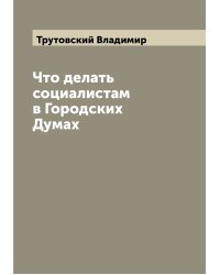Что делать социалистам в Городских Думах