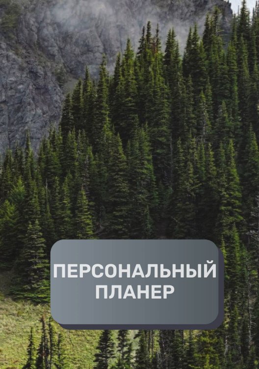 Обложка книги «Персональный планер (книга)» — автора нет, ISBN 9785521894703