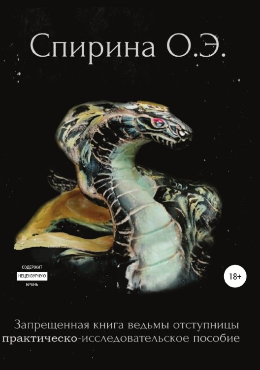 Обложка книги «Запрещенная книга ведьмы-отступницы» — Ольга Спирина, ISBN 9785532959781