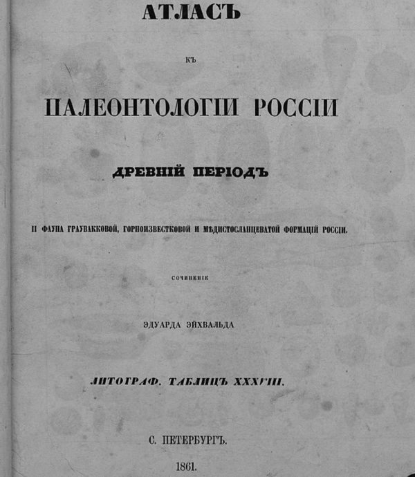 Обложка книги «Атлас к Палеонтологии России. Древний период. II. Фауна граувакковой, горноизвестковой и медистосланцеватой формаций России» — Эйхвальд Эдуард Иванович, ISBN 9785521958351