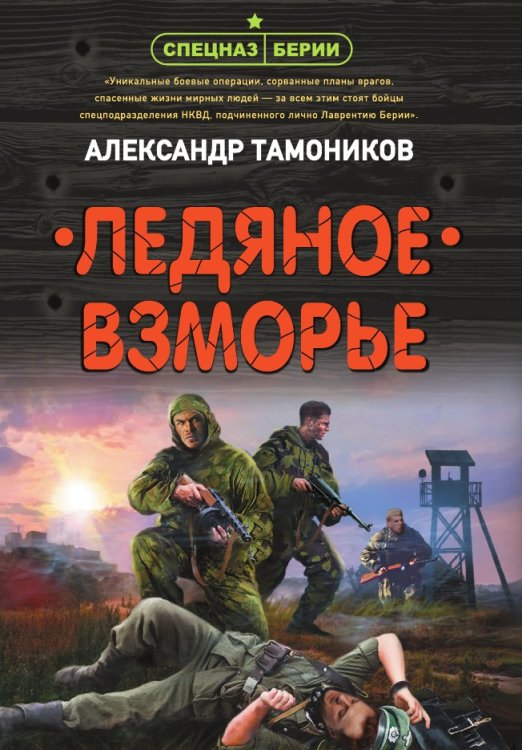 Ледяное взморье