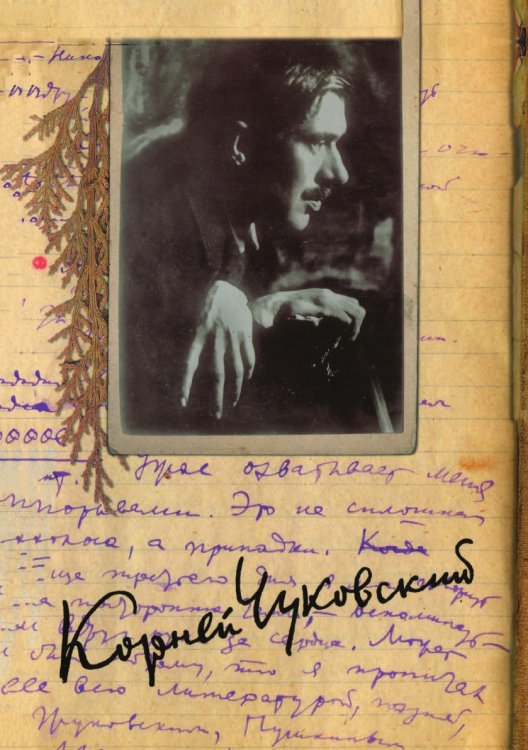 . Собрание сочинений в 15 томах. Том 12. Дневник (1922–1935)