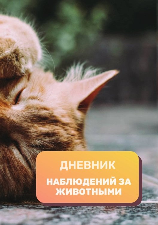 Обложка книги «Дневник наблюдения за животными, универсальный» — автора нет, ISBN 9785521890316