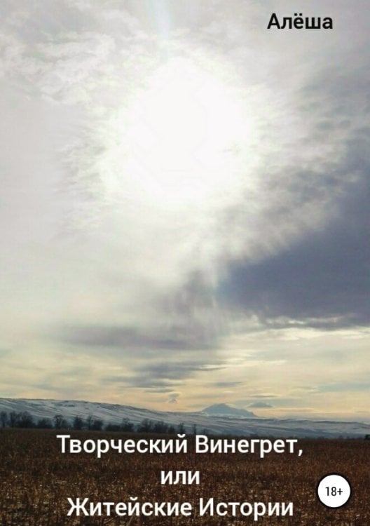 Обложка книги «Творческий винегрет, или Житейские истории» — Алёша, ISBN 9785532930933