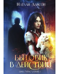 Бытовик в действии 2