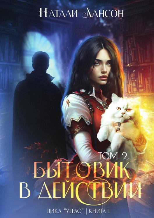 Обложка книги «Бытовик в действии 2» — Натали Лансон, ISBN 9785524029584