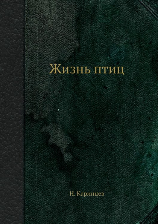 Жизнь птиц