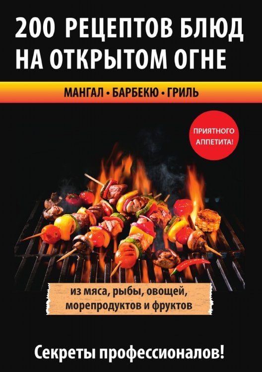 200 рецептов блюд на открытом огне 200 рецептов блюд на открытом огне