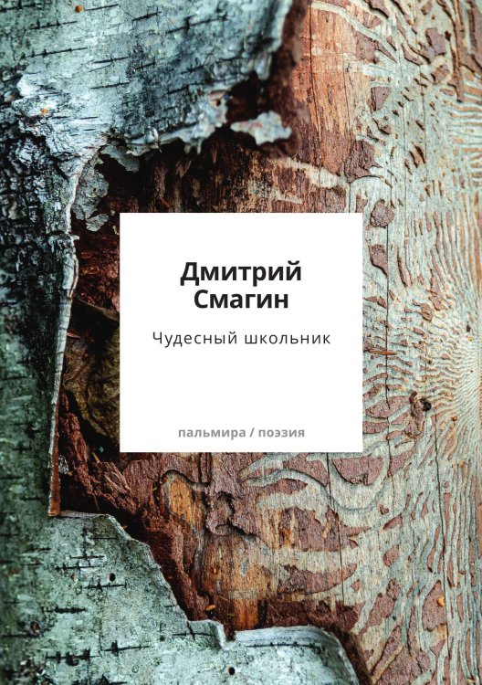 Обложка книги «Чудесный школьник» — Дмитрий Смагин, ISBN 9785517109354