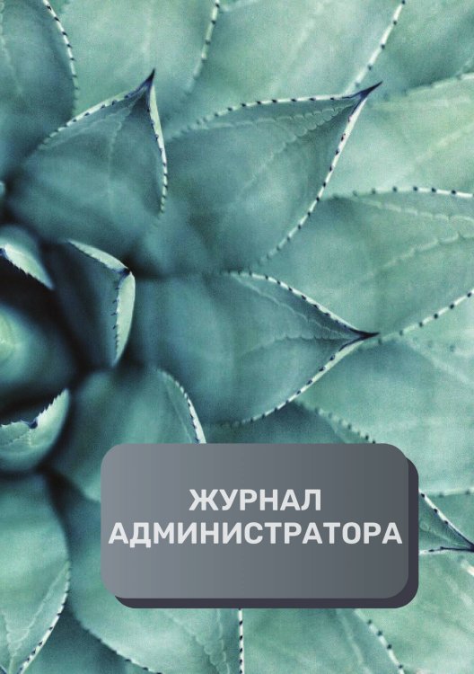 Журнал администратора массажного салона Обложка книги «Журнал администратора массажного салона» — автора нет, ISBN 9785521893133