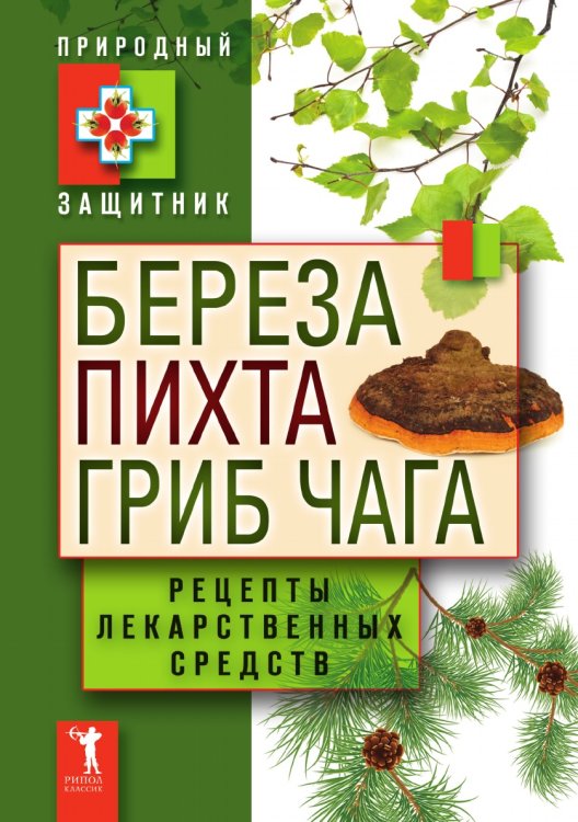 Береза, пихта и гриб чага. Рецепты лекарственных средств Береза, пихта и гриб чага. Рецепты лекарственных средств