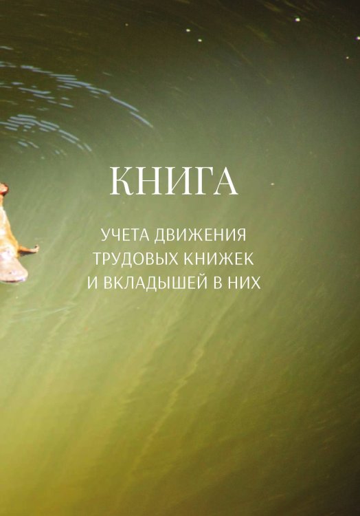 Обложка книги «Книга учета трудовых книжек и вкладыщей к ним» — автора нет, ISBN 9785521888160