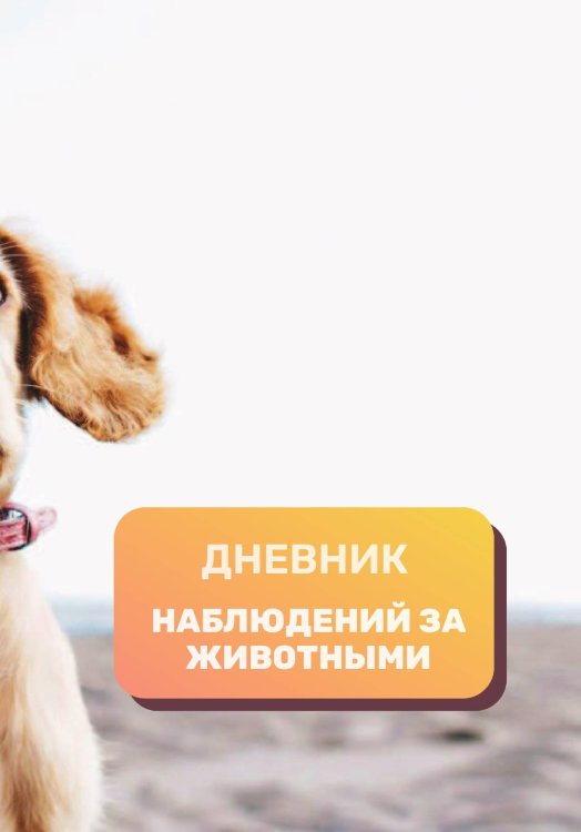 Обложка книги «Дневник наблюдения за животными, универсальный» — автора нет, ISBN 9785521890491