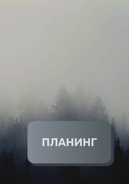 Обложка книги «Планинг универсальный» — автора нет, ISBN 9785521893959