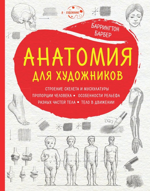 Анатомия для художников Анатомия для художников