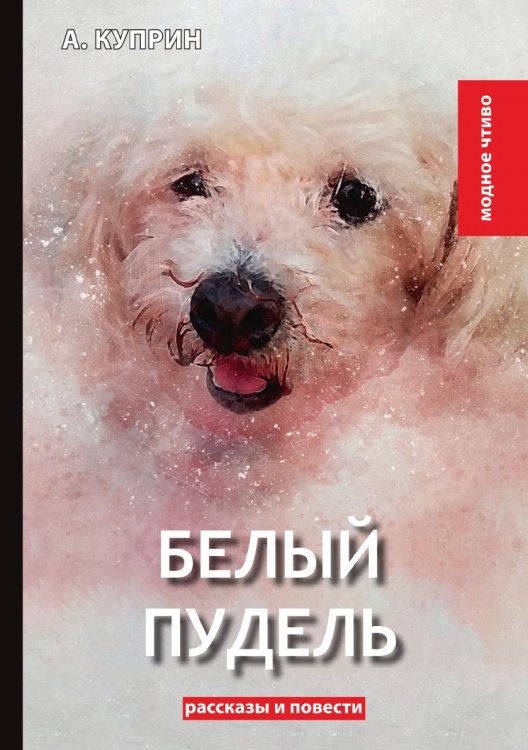 Белый пудель