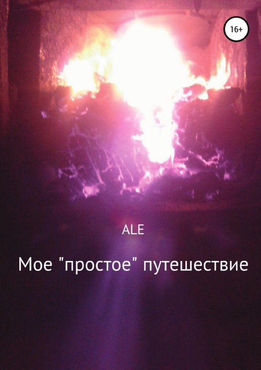 Обложка книги «Мое «простое» путешествие» — ALE, ISBN 9785532936805