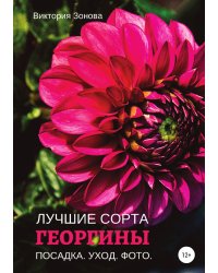 Георгины. Лучшие сорта