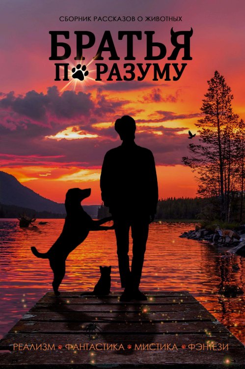 Братья по разуму. Сборник рассказов для животных Обложка книги «Братья по разуму. Сборник рассказов для животных» — Ладо Алексей; Федотова Екатерина; Мария Демина; Жорж Колюмбов; Тим Яланский; Яна Смородина; Игорь Ан; Марина Тихонова; Олеся Бондарук; Вероника Князева; Дмитрий Паршин; Майя Филатова; Ирина Калачева; Гузель Пластинина; Татьяна Виноградова; Анна Короткевич, ISBN 9785907720169