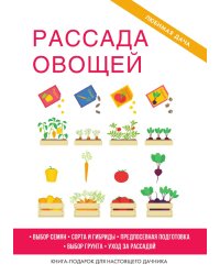 Рассада овощей