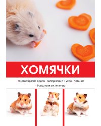 Хомячки