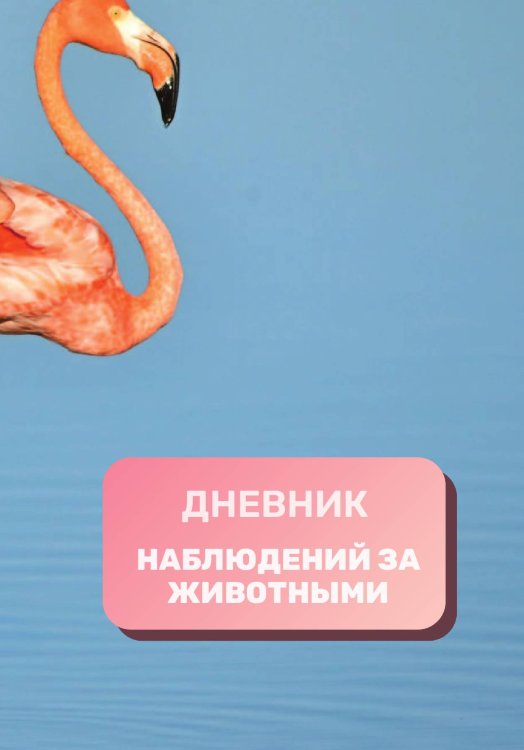Обложка книги «Дневник наблюдения за животными, универсальный» — автора нет, ISBN 9785521890521