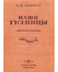 Наши гусеницы