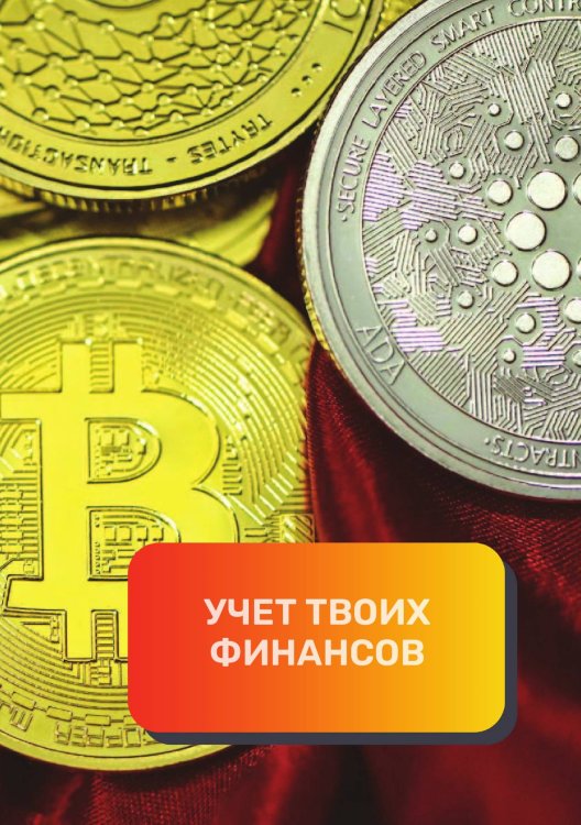 Обложка книги «Учет твоих финансов» — автора нет, ISBN 9785521892235