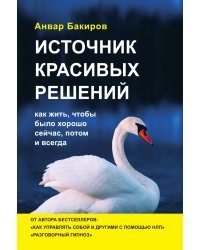 Источник красивых решений. Как жить, чтобы было хорошо сейчас, потом и всегда