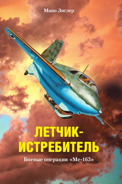 Летчик истребитель