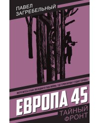 Европа 45: Роман