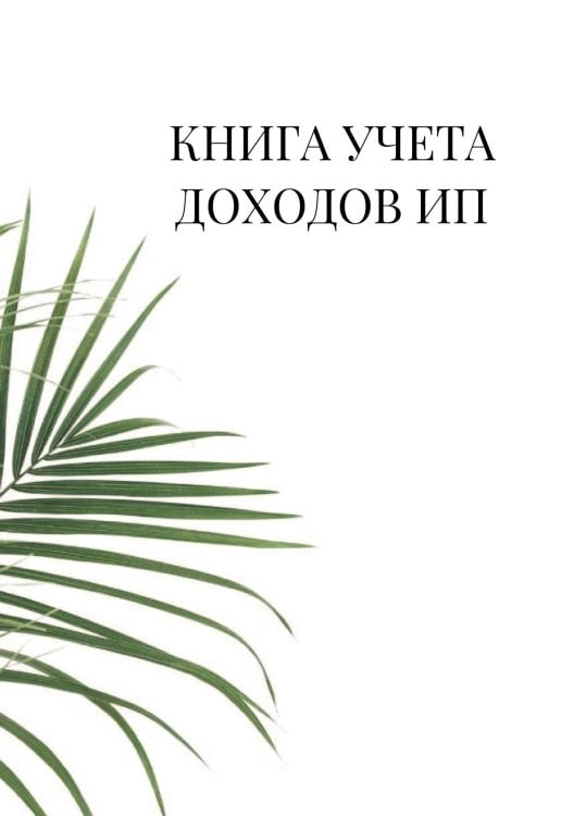 Книга учета доходов для ИП на патенте