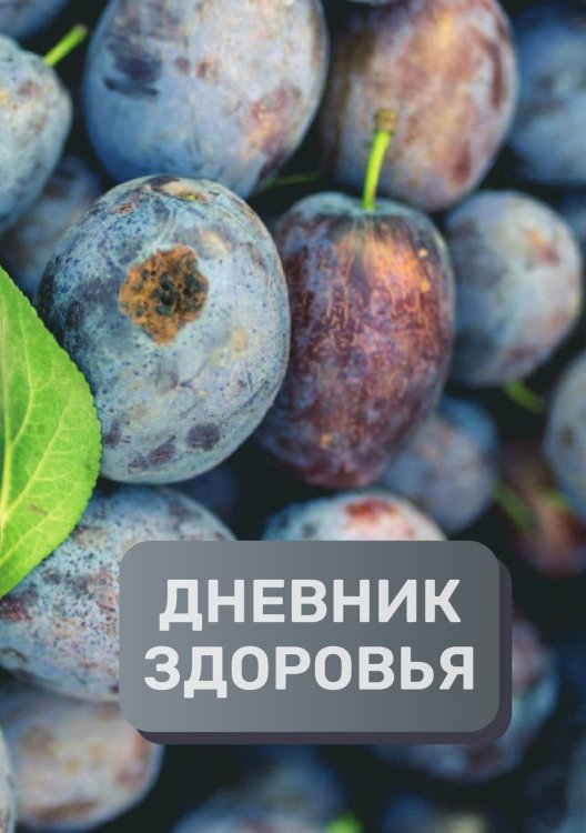 Обложка книги «Дневник здоровья (универасльный)» — автора нет, ISBN 9785521894208