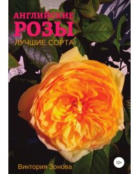 Английские розы. Лучшие сорта