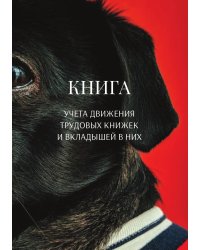Книга учета трудовых книжек и вкладыщей к ним