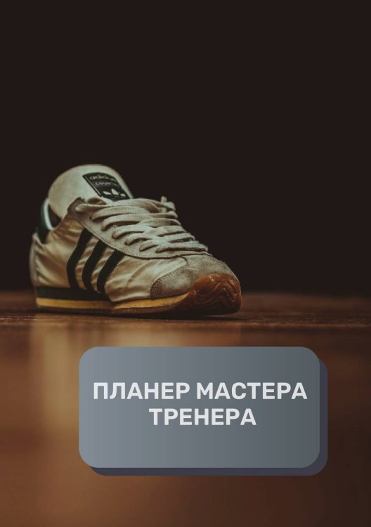 Обложка книги «Планер тренера» — автора нет, ISBN 9785521893843
