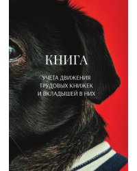 Книга учета трудовых книжек и вкладыщей к ним