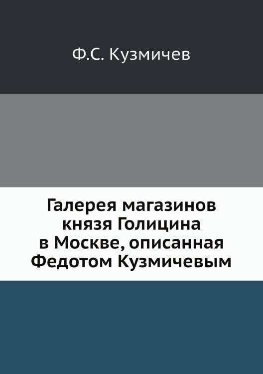 Галерея магазинов князя Голицина в Москве, описанная Федотом Кузмичевым