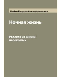 Ночная жизнь
