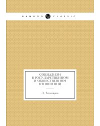 Социализм в государственном и общественном отношении