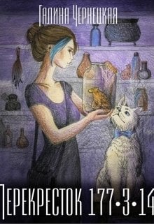 Обложка книги «Перекресток 177-3-14» — Чернецкая Галина, ISBN 9785524053510