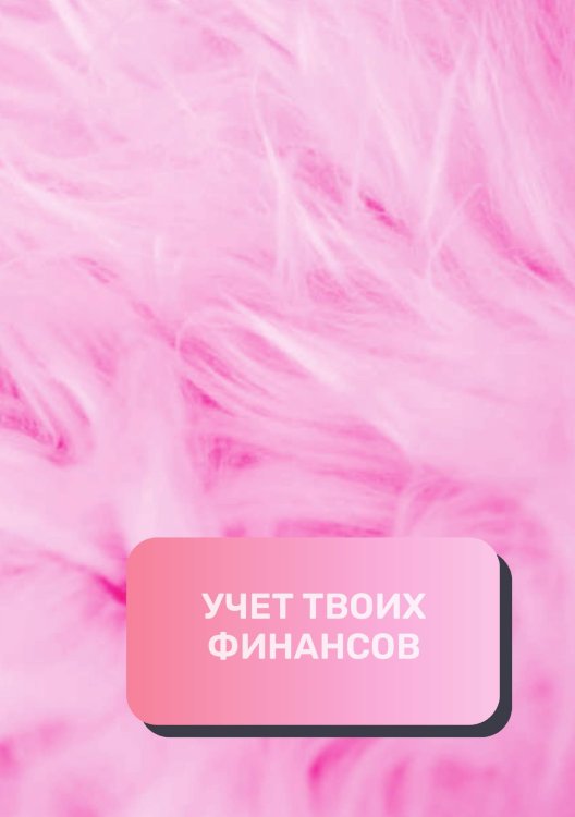 Обложка книги «Учет твоих финансов» — автора нет, ISBN 9785521892372