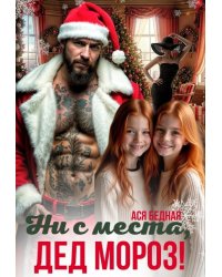 Ни с места, Дед Мороз!