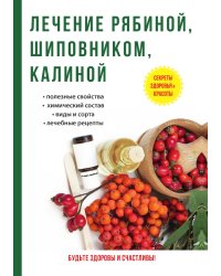 Лечение рябиной, шиповником, калиной